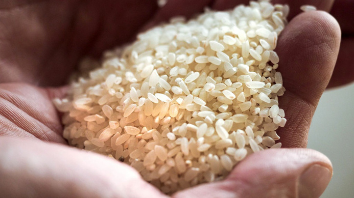  Agrarians of Turkmenistan harvested more than 80 thousand tons of rice in 2021
