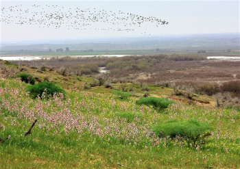 Dushanbe to host international conference to combat desertification