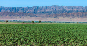 Crop yield and environmental stability - balance according to the Altyn Toprak formula