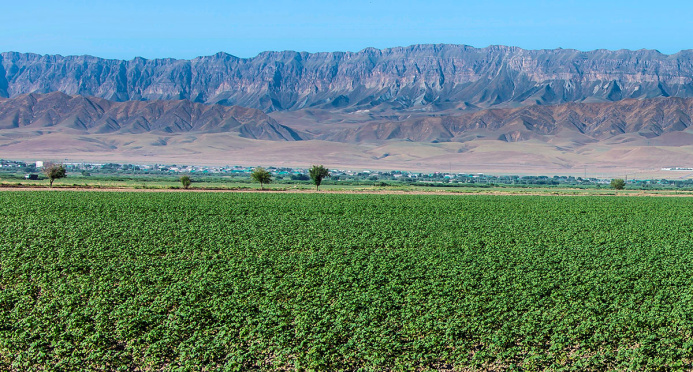  Crop yield and environmental stability - balance according to the Altyn Toprak formula