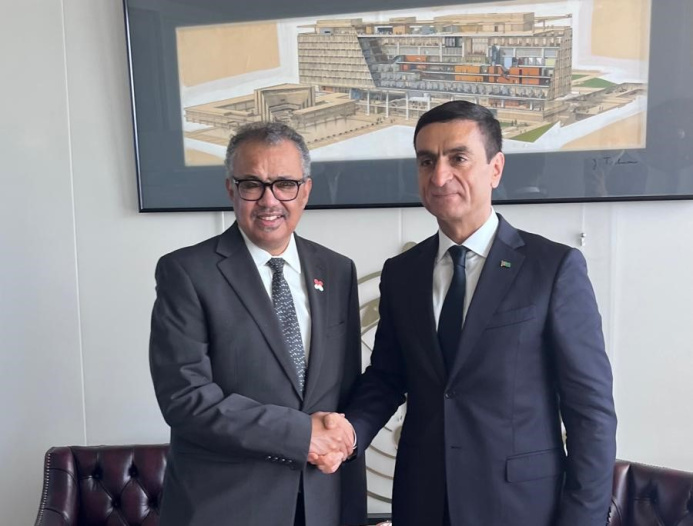  Постпред Туркменистана в Женеве встретился с главой ВОЗ