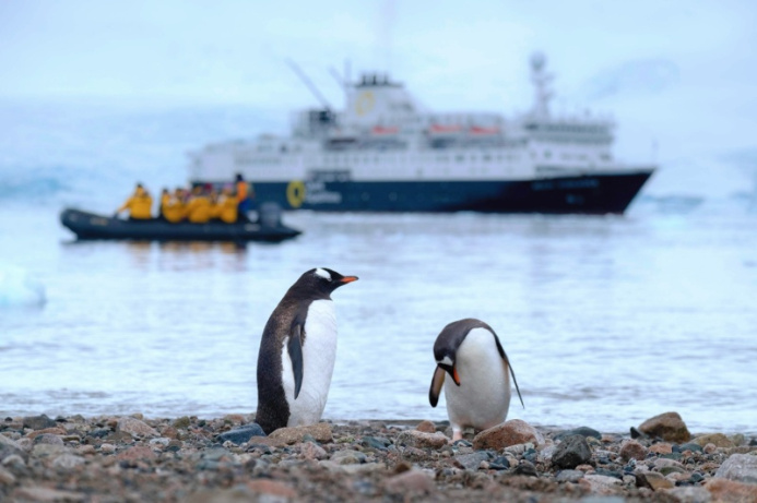  Antarktidada ýokary tizlikli hemra interneti ýola goýuldy