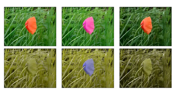  Russian scientists develop technology to adapt TV images for individuals with color blindness