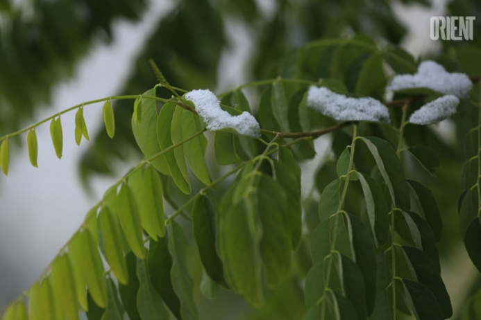  Hello from winter: for those who did not have time to see the first snow in Ashgabat - photo