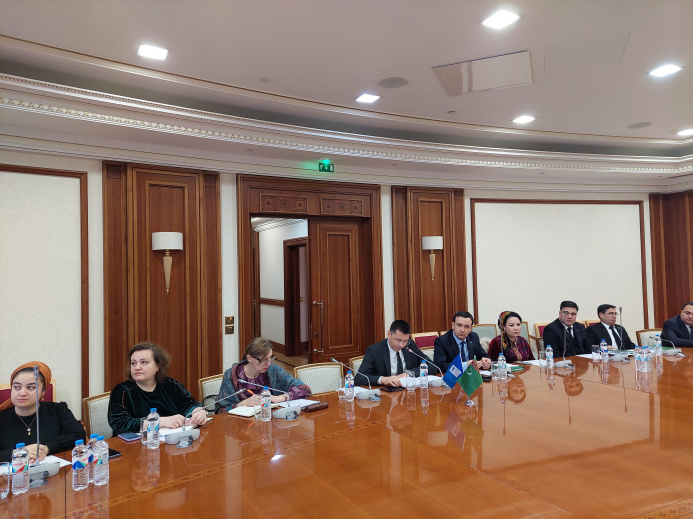  UNDP in Turkmenistan and partners hold webinar on tax regulation and WTO rules