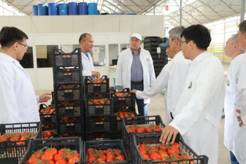 Aktau Türkmenistandan miweleriň we gök-önümleriň möwsümleýin getirilmegine gyzyklanma bildirýär
