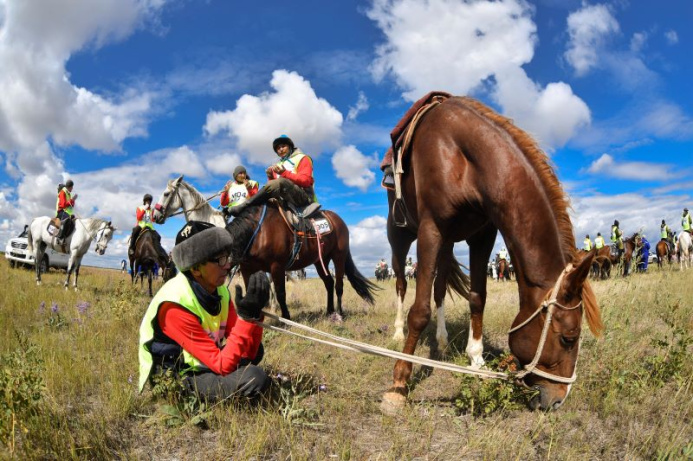 Казахстан и Туркменистан наладят партнерские отношения в области конного спорта