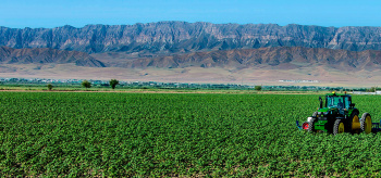 Environment-friendly solutions in the water consumption enhance the agricultural economy