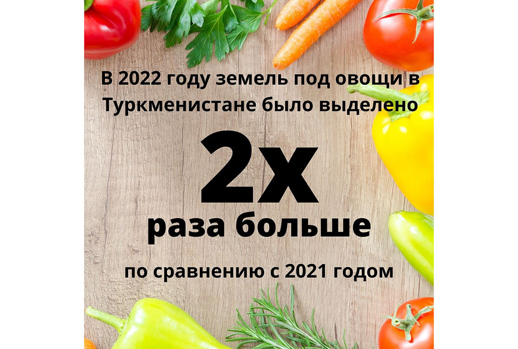 Туркменистан продолжает укреплять продовольственную безопасность и независимость от импорта