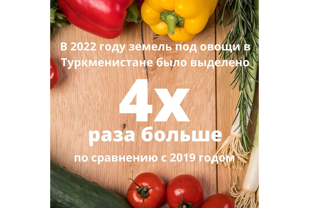 Туркменистан продолжает укреплять продовольственную безопасность и независимость от импорта
