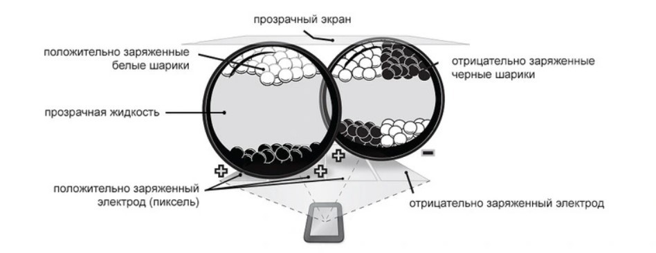 Букридеры с E-ink экраном – стоит ли покупать в 2022 году?