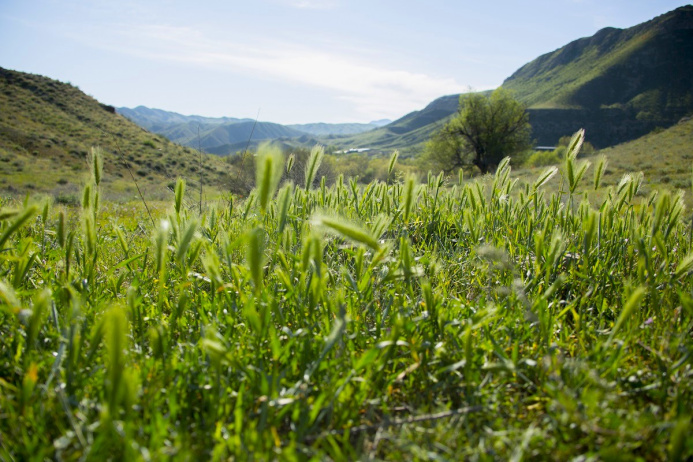  Turkmenistan supports the Global Methane Initiative