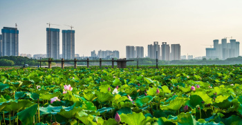 Health of the Planet: How can viruses affect environmental policy?