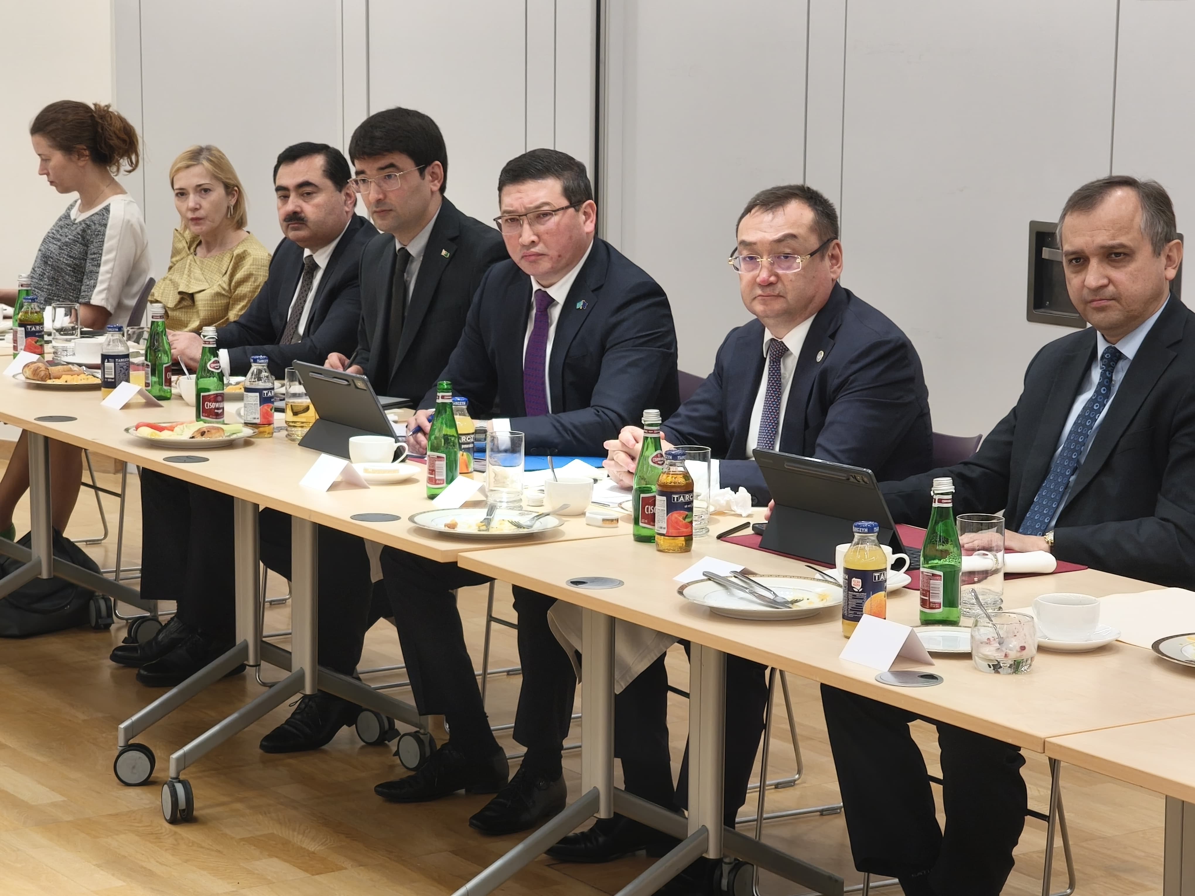 vstrecha-poslov-stran-ca-i-es-v-komitete-po-politike-i-bezopasnosti (4).JPG