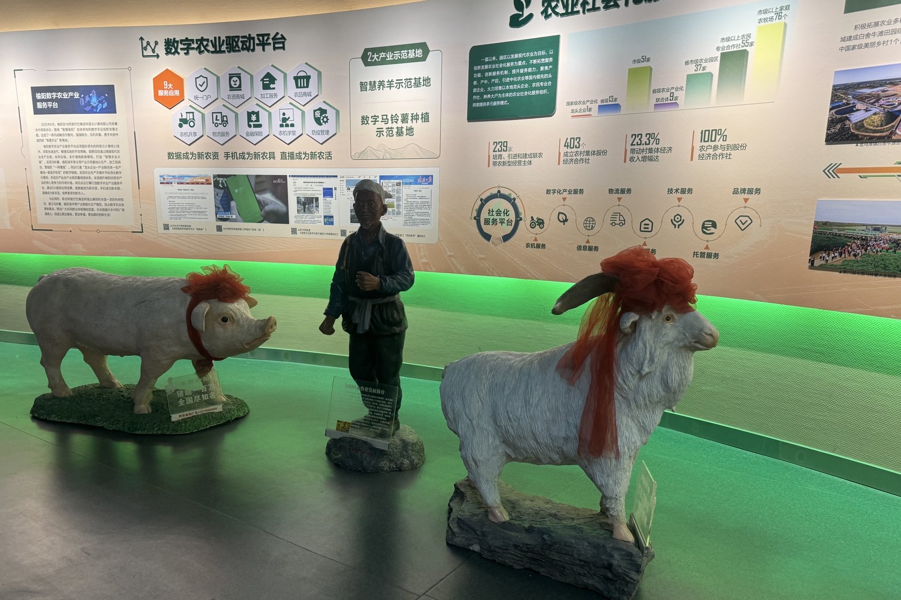 turkmenistan-kitai-uyilin-agrarnye-innovacii (7).jpg