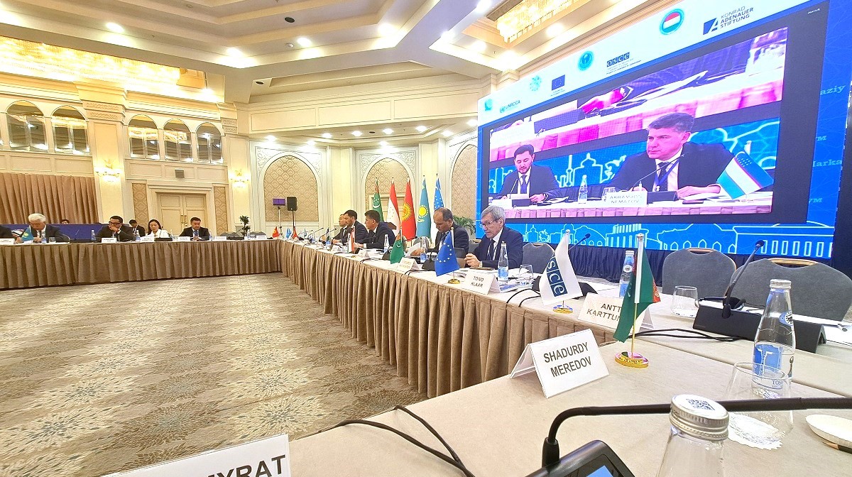 turkmenistan-videnie-sotrudnichestvo-tsaef (4).jpg