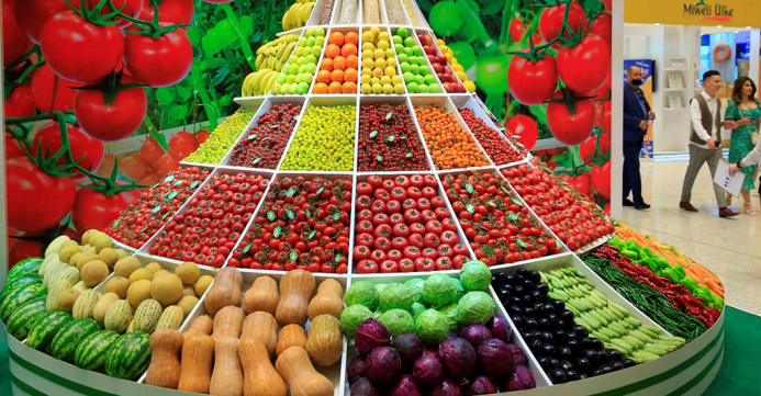  Russia is ready to increase the volume of purchases of vegetables and fruits from Turkmenistan