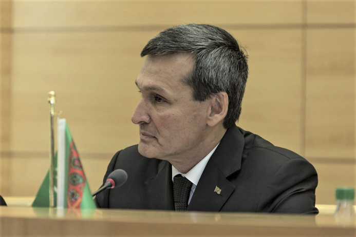  Глава МИД Туркменистана проведет в Тегеране ряд переговоров на следующей неделе