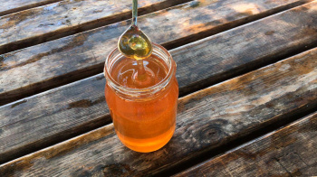 On the trail of Anatolia's most delicious honey