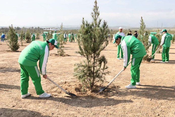  A nationwide tree planting campaign was held in Turkmenistan with the participation of the President