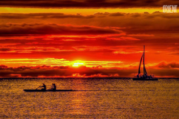 WMO: 2019 became the second warmest year ever