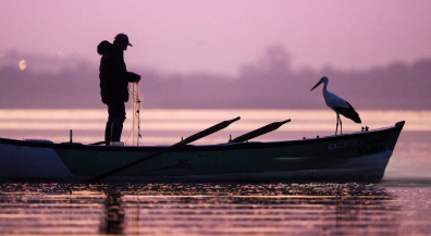 The Old Man and the Stork: The Unlikely Friendship That Captivated a Nation