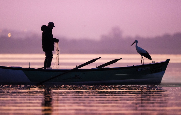  The Old Man and the Stork: The Unlikely Friendship That Captivated a Nation