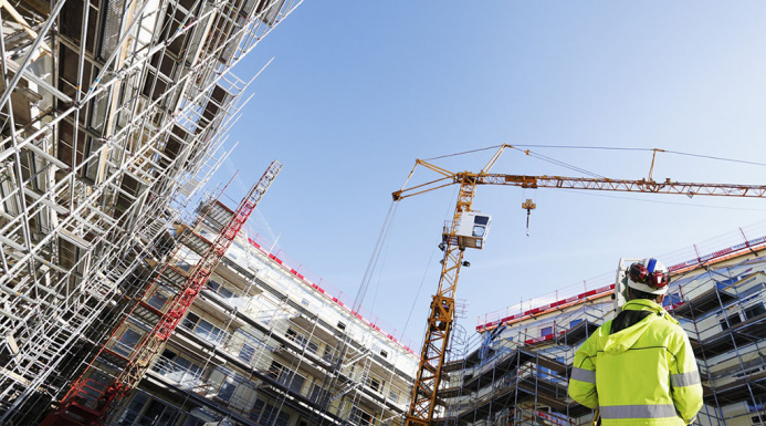  Business in the building materials industry - success in import substitution