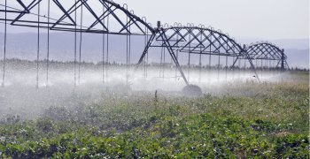 The online seminar on water saving technologies in agriculture was held in Turkmenistan