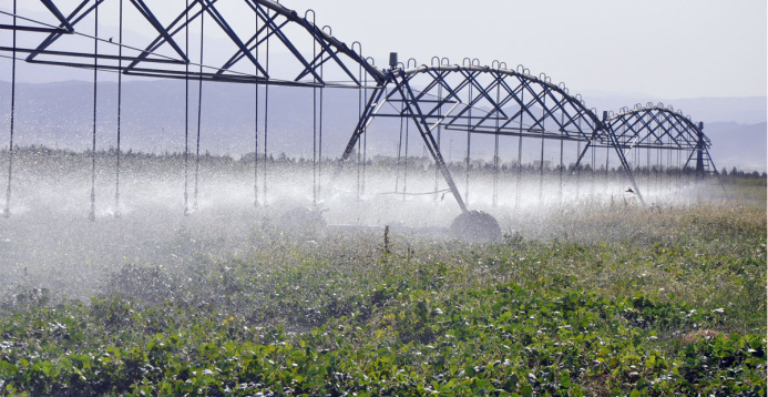  The online seminar on water saving technologies in agriculture was held in Turkmenistan