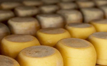 Первая партия орловских сыров прибудет в Туркменистан