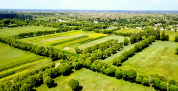 From yellow to green: How the Mu-Us Desert in China turned into an oasis