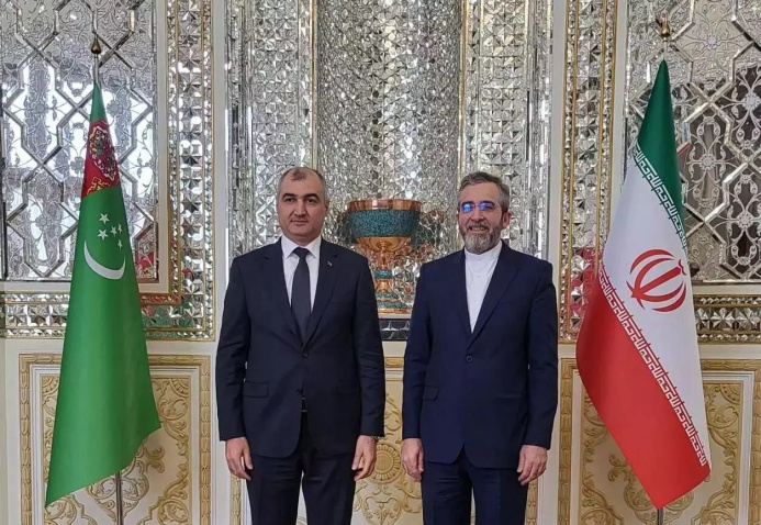  Замминистра иностранных дел Туркменистана встретился с иранским коллегой в Тегеране