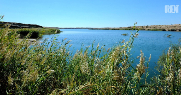  Lands of the Turkmen lake can fill up the Ramsar list