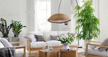 Indoor plants in interior design: from windowsills to stylish accents