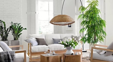 Indoor plants in interior design: from windowsills to stylish accents