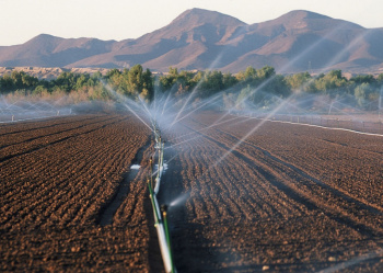 Agriculture in a new fashion: how to protect nature, to honour the law and to get a rich harvest