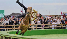 Turkmen horsemen and Akhal-Teke horses shine at the Ethnosport Festival in Istanbul