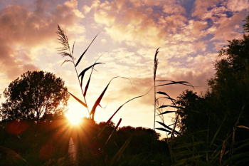 Issues on Climate Change to be discussed during regional online dialogue
