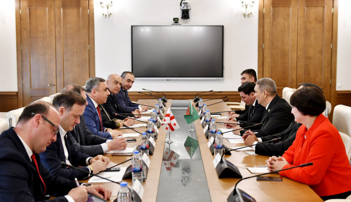  Meeting of the Inter-parliamentary Friendship Groups of Turkmenistan and Georgia