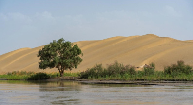 Turning deserts into fields of hope