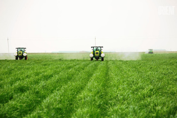 Interview at the edge of a wheat field: how modern farmers live
