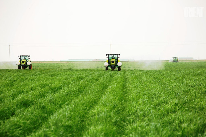  Interview at the edge of a wheat field: how modern farmers live
