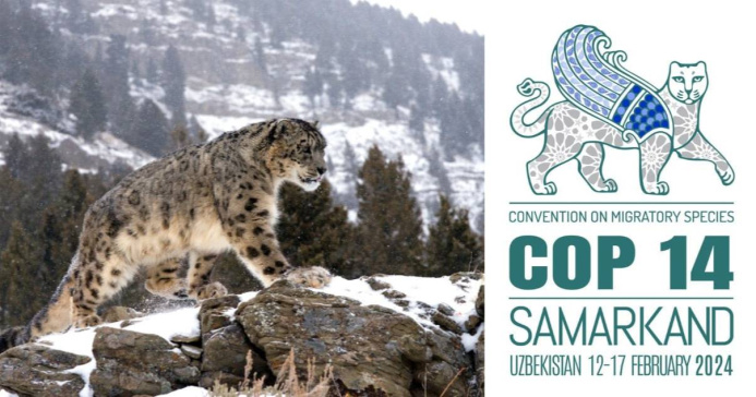  В Самарканде пройдет Конференция ООН по сохранению мигрирующих видов диких животных