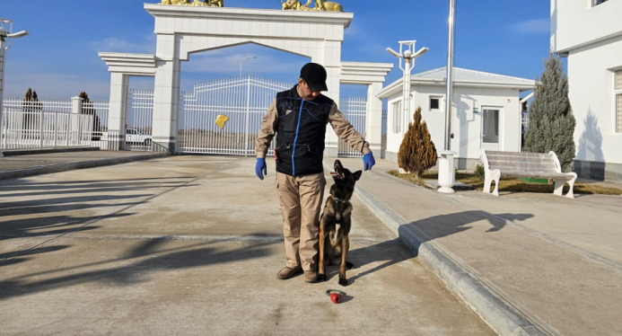  The OSCE has organized a training course for instructors of dog handlers of the State Border Service of Turkmenistan