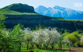 Turkmen enterprises acquire ecological passports
