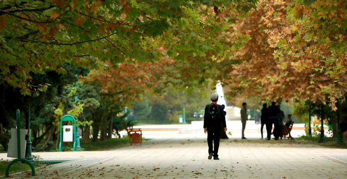  Eyes Charm ... and autumn gift of nature for health