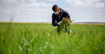 COP26: towards a green and healthy life for humankind