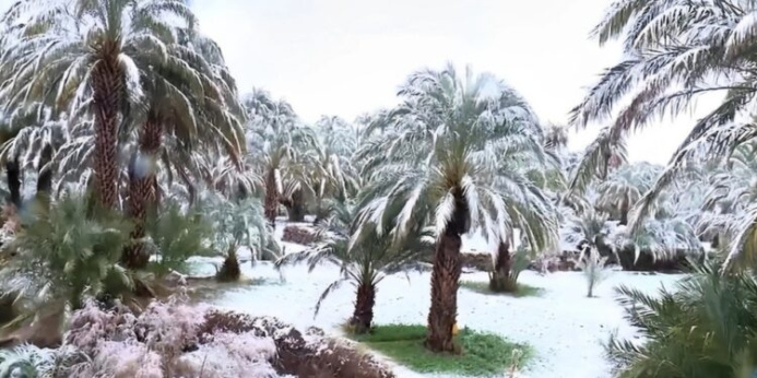  Snowfall in Morocco for the first time in 50 years