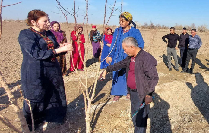  Эксперты ООН провели тренинг для дашогузских садоводов